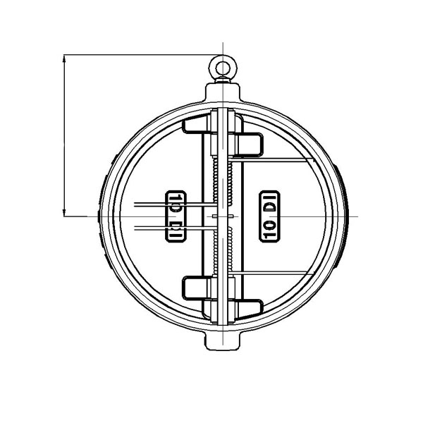 Butterfly Check Valve.jpg